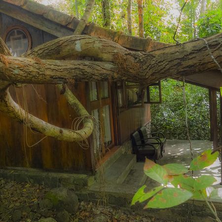 Forest Floor Lodge Cat Tien Buitenkant foto
