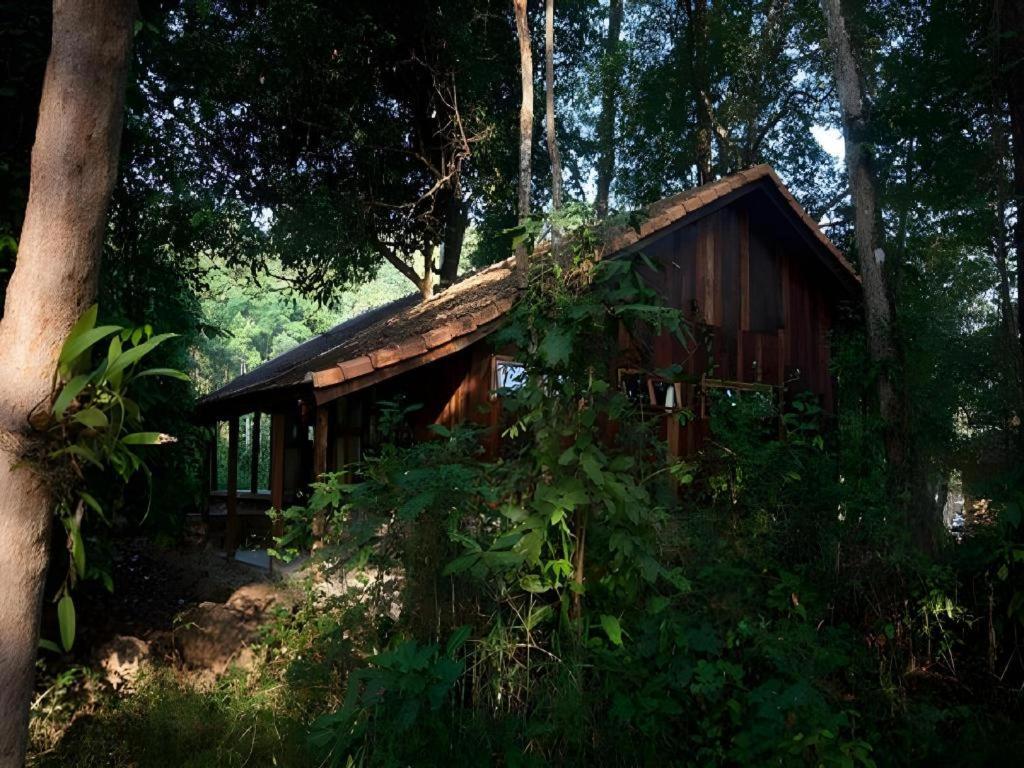 Forest Floor Lodge Cat Tien Buitenkant foto