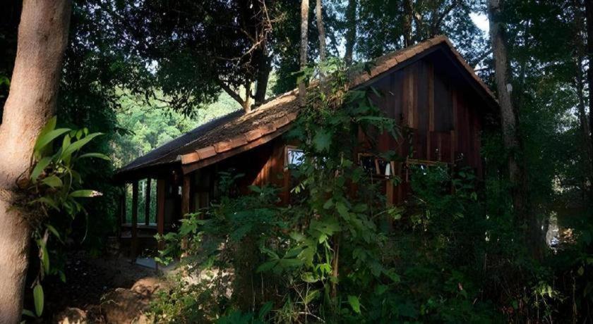 Forest Floor Lodge Cat Tien Buitenkant foto