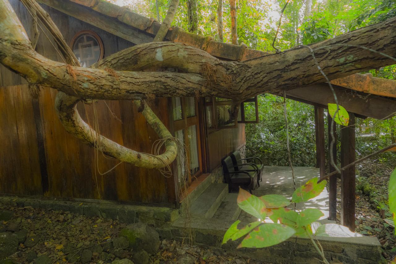 Forest Floor Lodge Cat Tien Buitenkant foto